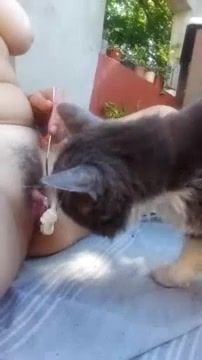 Кот лижет пизду у бразильской девушки, порно зоо